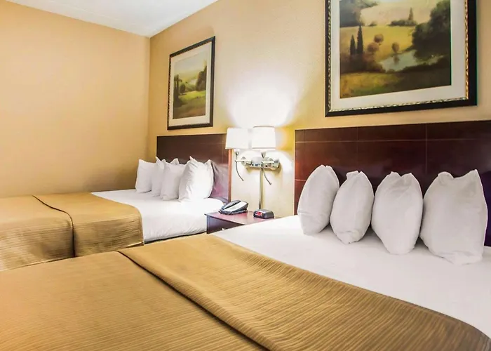 Hotel Quality & North 4*