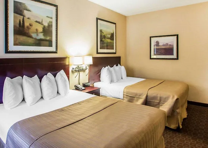 Quality & North 4* Peoria
