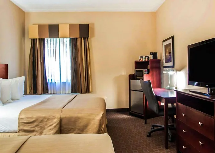 Quality & North Hotel 4*