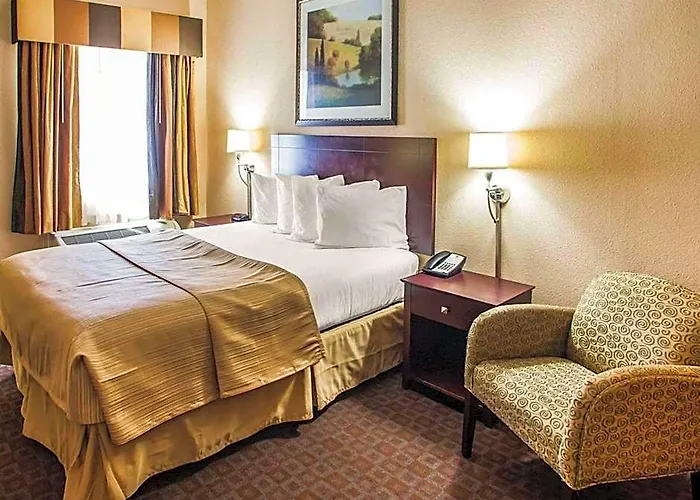 Quality & North Hotel Peoria