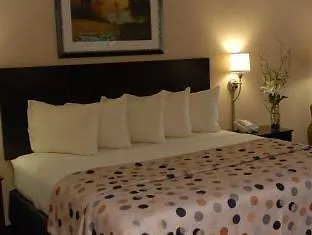Quality & North 4* Peoria