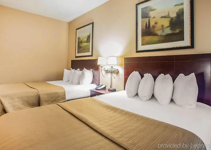 Quality & North Hotel Peoria
